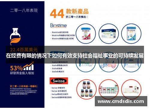 在经费有限的情况下如何有效支持社会福祉事业的可持续发展