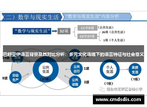 巴舒亚伊语言背景及其对比分析：多元文化语境下的语言特征与社会意义