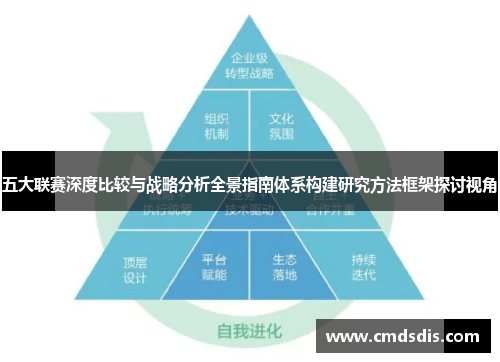 五大联赛深度比较与战略分析全景指南体系构建研究方法框架探讨视角